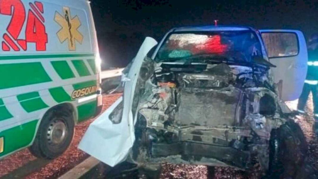 graves-accidentes-con-animales-sueltos-expusieron-la-inseguridad-vial-en-la-autovia-punilla