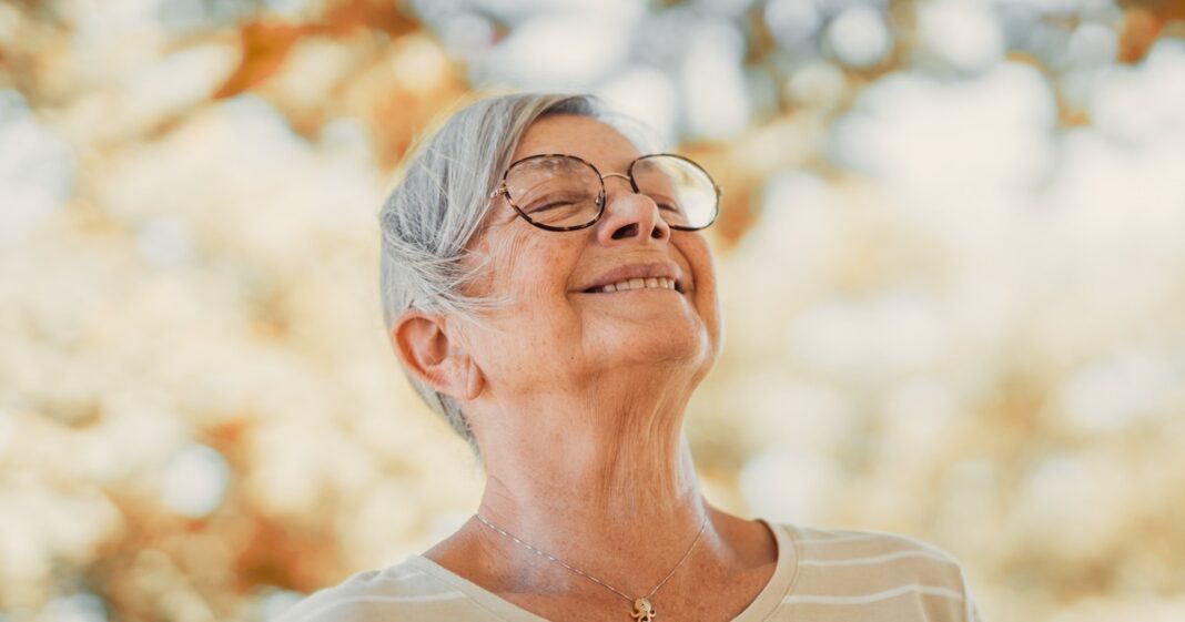Portada del libro Cepillar al gato de Jane Campbell
