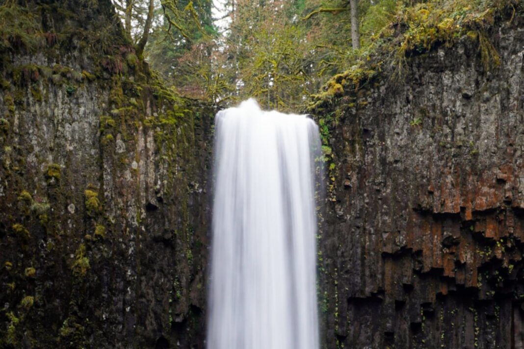 Vista panorámica de las cataratas de Abiqua, una cascada de 28 metros en medio de un bosque en Oregon.