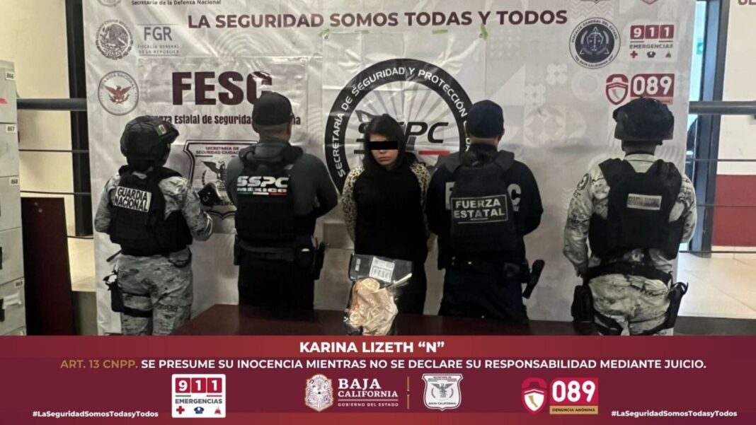 Mujer detenida con peluche de león en Tijuana
