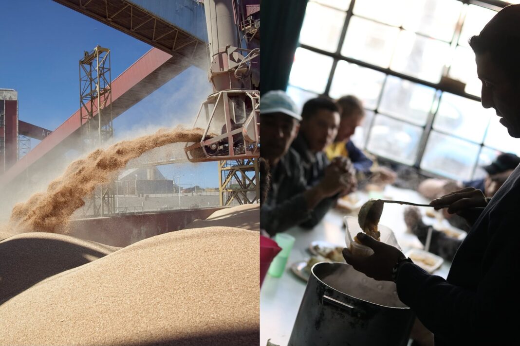 Campos de cultivo y ganado en Argentina, representando la producción agropecuaria