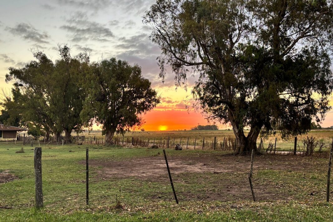 Atardecer en la laguna de Navarro con totorales y reflejos rojizos