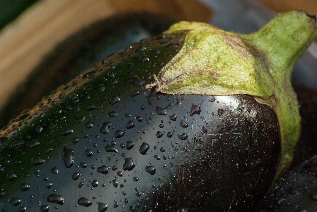 Berenjenas frescas de color morado oscuro sobre una superficie de madera