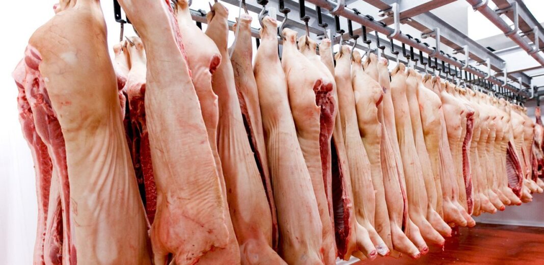 Carne porcina decomisada en operativo de control en Miramar, Córdoba