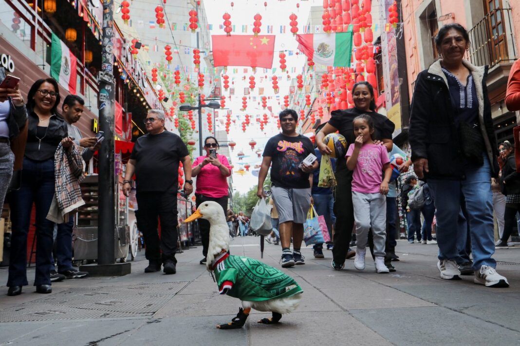 Pato Merlín viral durante el Mundial 2026
