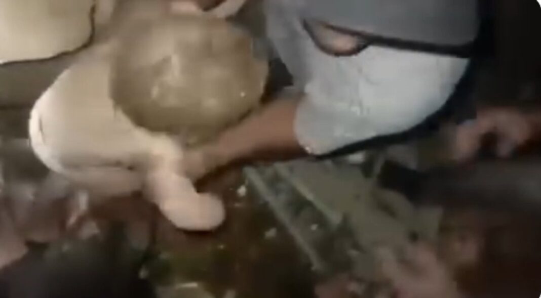 Rescatistas trabajan entre escombros en un edificio derrumbado en Venezuela