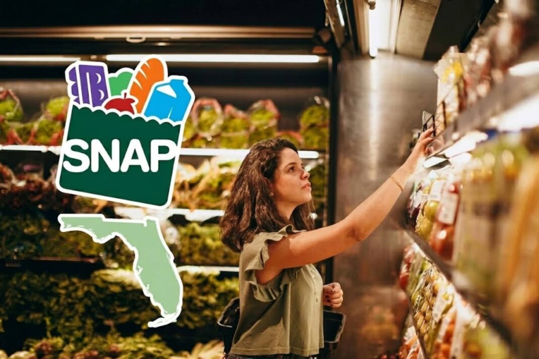 Mapa de Estados Unidos con estados destacados según tasas de error en SNAP