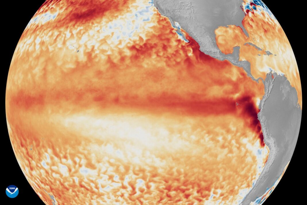 Mapa de temperatura del océano Pacífico mostrando anomalías compatibles con El Niño