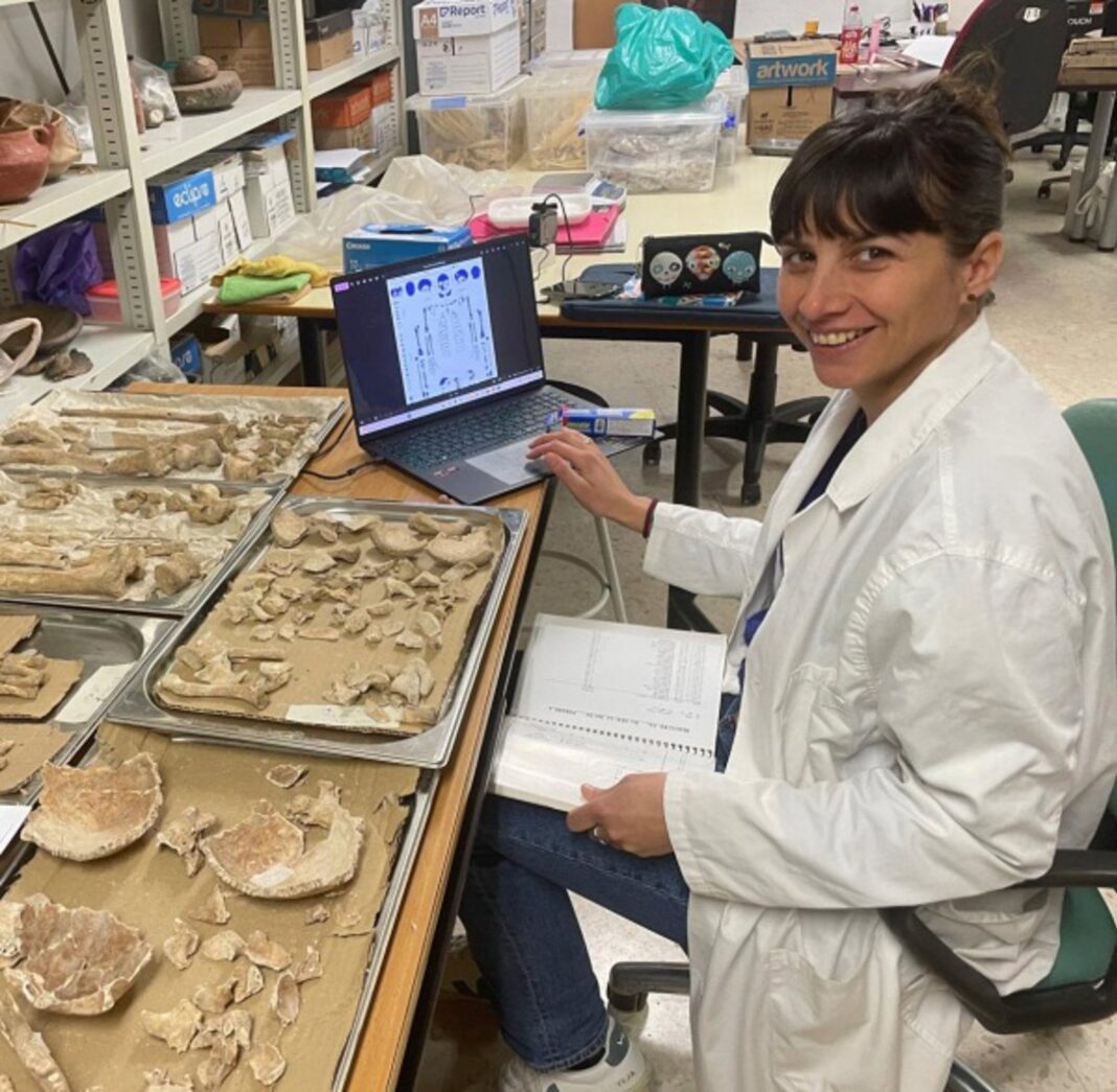 Restos humanos de la necrópolis de Novilara analizados en un estudio sobre alimentación de hace 2.700 años