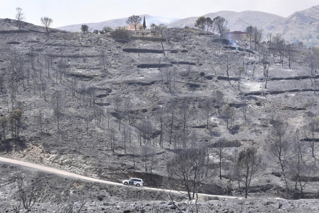 Vista del incendio forestal en Los Gallardos, Almería