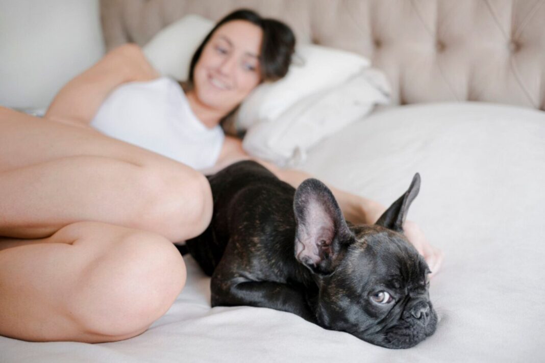 Perro durmiendo en una cama junto a su dueño