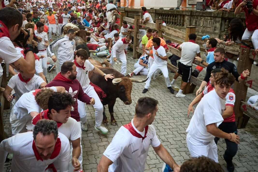 Toros de Jandilla en el encierro de San Fermín