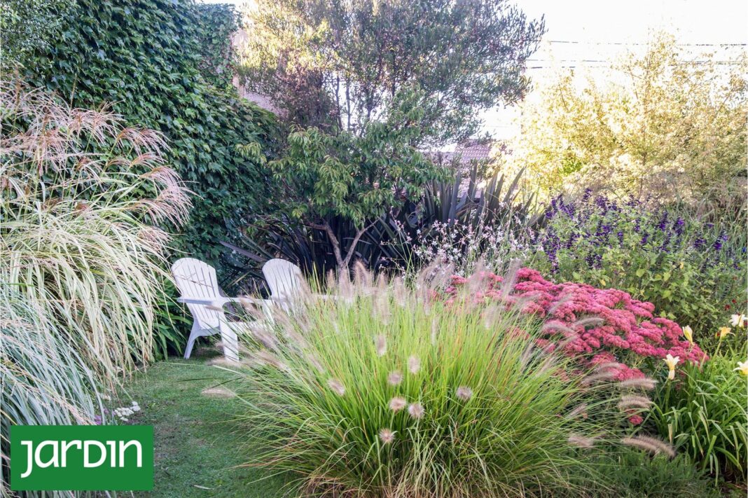 Jardín pequeño diseñado con capas de vegetación que generan profundidad visual