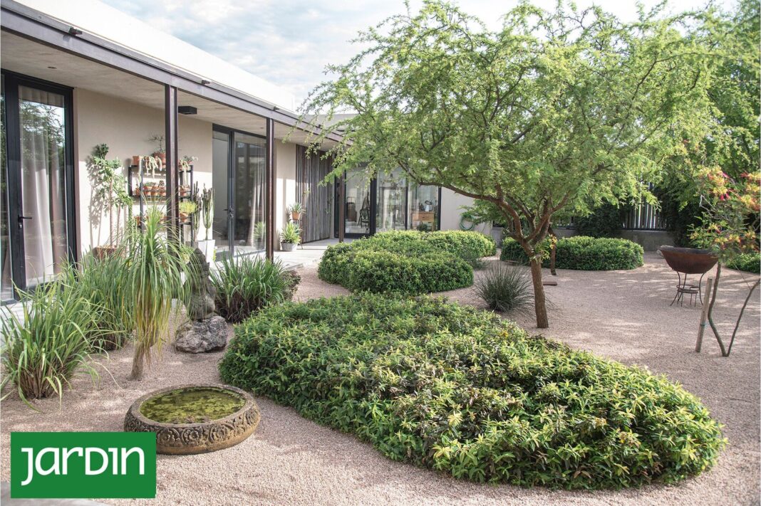Jardín con diversidad de plantas y sin césped