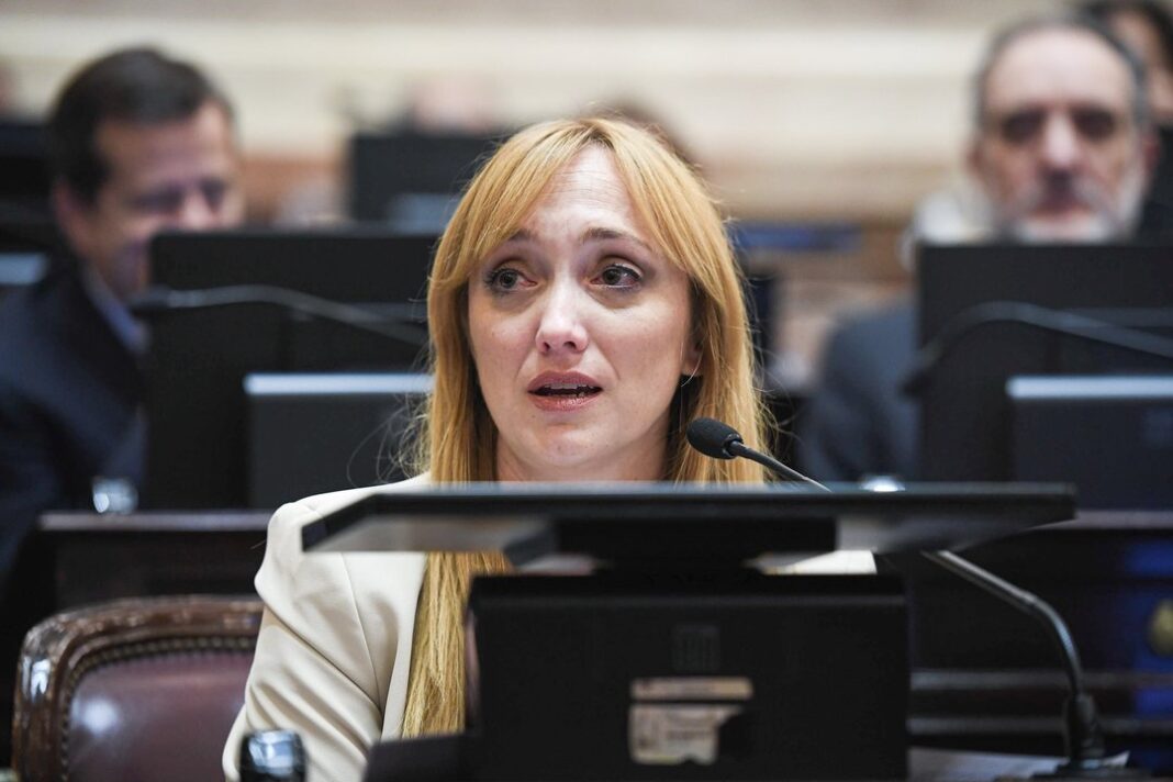 Anabel Fernández Sagasti en el Senado