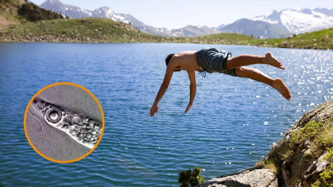 Piscina sin mantenimiento con agua estancada