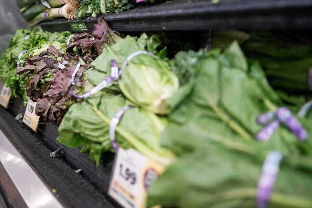 Lechuga en un supermercado
