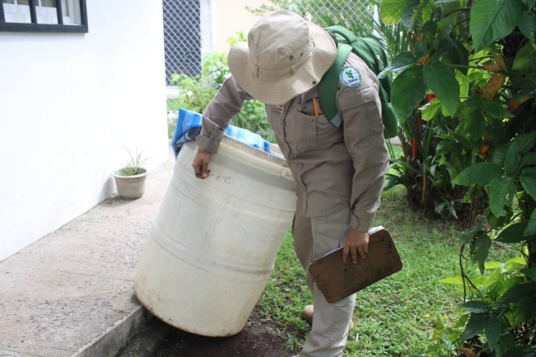 Mosquito Aedes aegypti transmisor del dengue