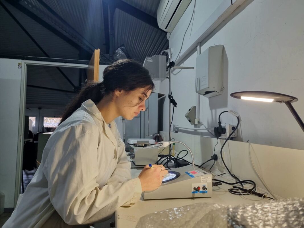 Investigación sobre bacterias que degradan micotoxinas en cultivos