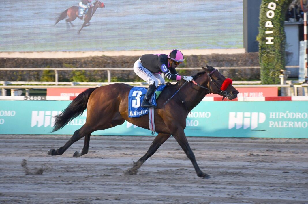 Caballo Fletcher ganando la Polla de Potrillos en Palermo