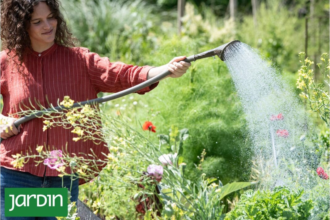 Jardín en primavera con brotes y plantas en crecimiento