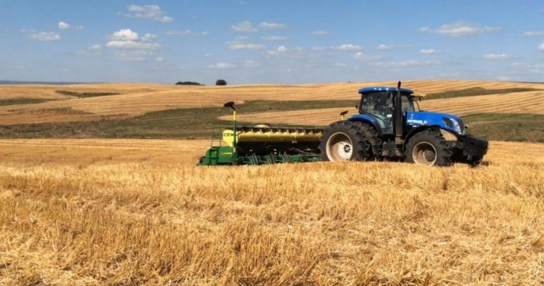 Tierra de cultivo con vegetación en recuperación