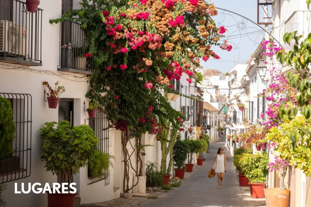 Vista de las calles blancas de Estepona con macetas de geranios y buganvillas