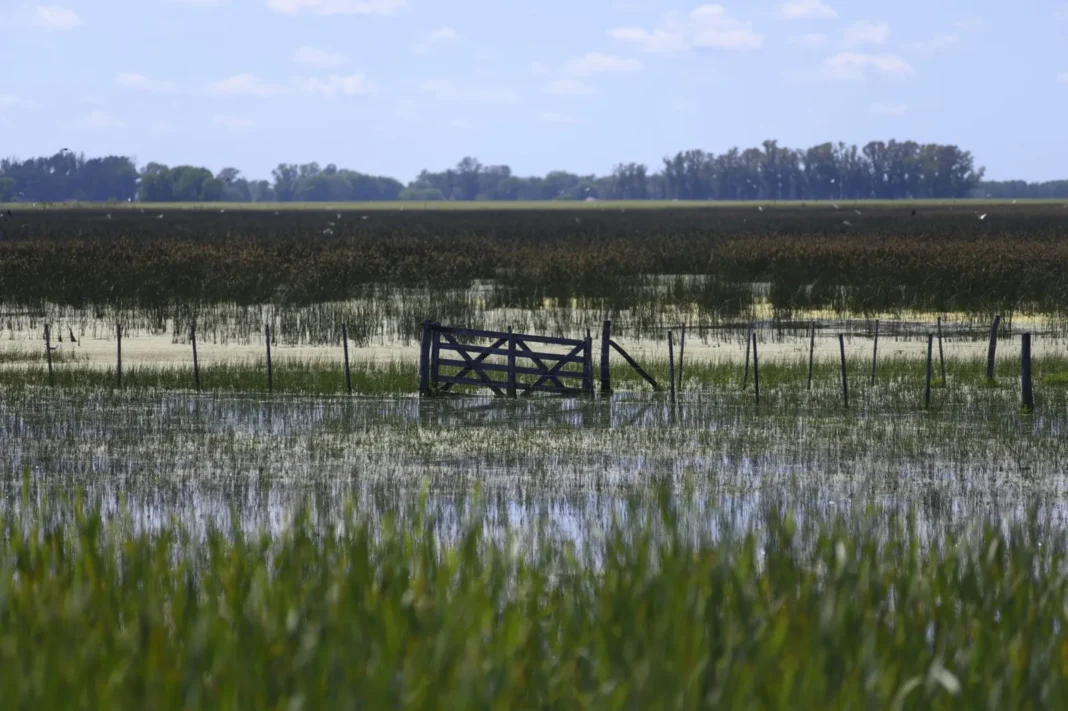 Campos inundados en la provincia de Buenos Aires