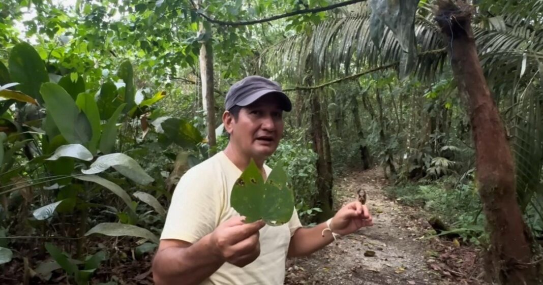 Jorge y María en su bosque de 4,5 hectáreas en la Amazonía ecuatoriana, rodeados de árboles y animales silvestres
