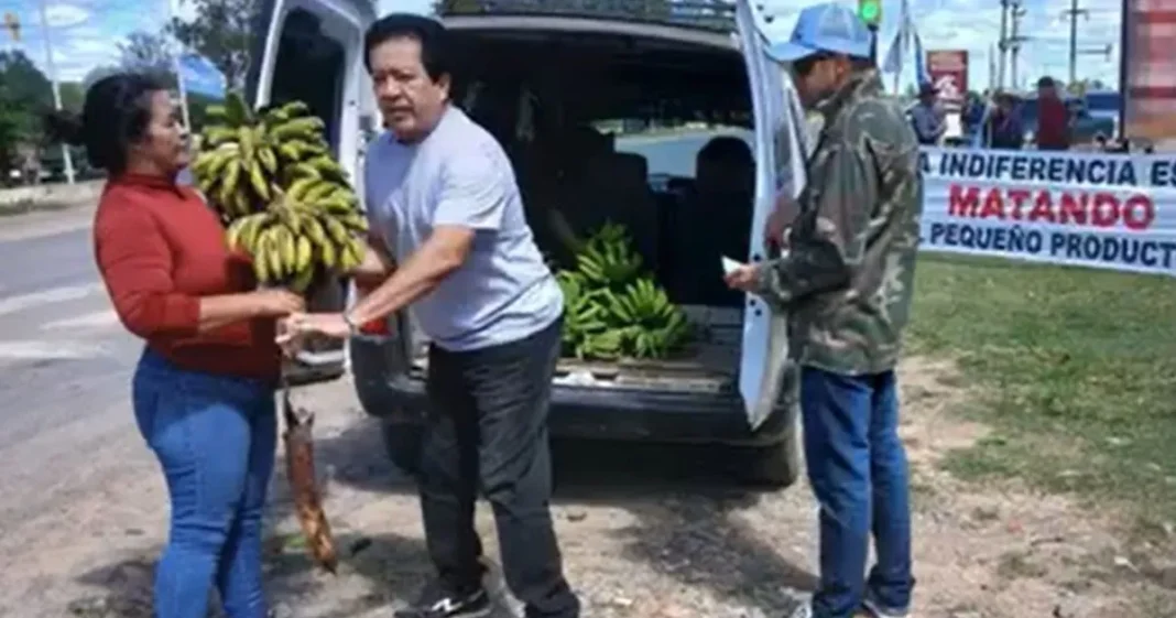 Productores bananeros de Formosa regalando bananas durante una manifestación en Laguna Naineck