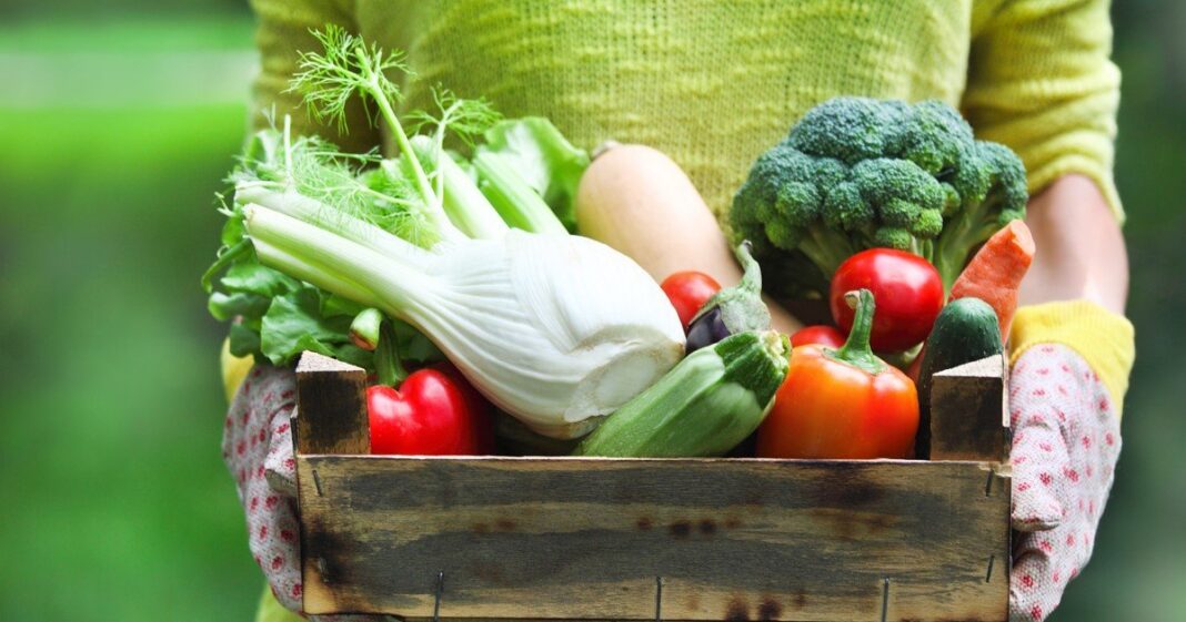 Huerta doméstica con verduras sembradas en octubre